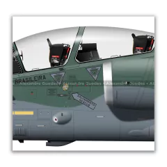 AMX INTERNACIONAL A-1BM, FAB 5652, 1º/10º GAV en internet