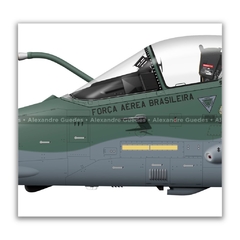 AMX INTERNACIONAL A-1M, FAB 5506, 3º/10º GAV na internet