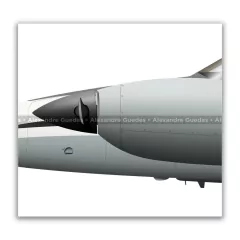 EMBRAER EMB-810 / U-7 SENECA II, FAB 2625, 7º/8º G on internet