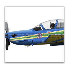 Avião Embraer A-29A Super Tucano, FAB 5719, EDA - Esquadrão de Demonstração Aérea en internet
