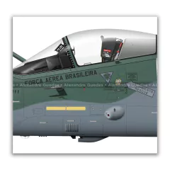 AMX INTERNACIONAL A-1M, FAB 5506, 1º/10º GAV en internet