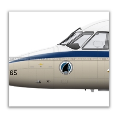 EMBRAER C-95 BANDEIRANTE, FAB 2165, ESQ TUBARÃO en internet