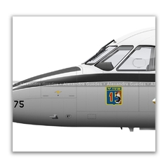 EMBRAER C-95 BANDEIRANTE, FAB 2175, 1º/15º GAV na internet