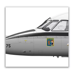 EMBRAER C-95 BANDEIRANTE, FAB 2175, 1º/15º GAV en internet