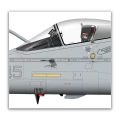 AMX A-11A "GHIBLI", COCIDI 5145, MM7175, ISAF na internet