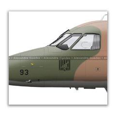 EMBRAER C-95A BANDEIRANTE, FAB 2293, 4º ETA en internet