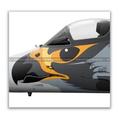 McDONNELL DOUGLAS AF-1 SKYHAWK II, N-1004 en internet