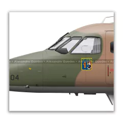 EMBRAER C-95B BANDEIRANTE, FAB 23041, 1º/15º GAV on internet