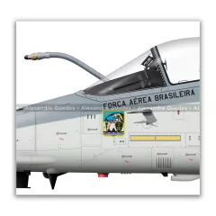 AMX INTERNACIONAL A-1, FAB 5525, 1º/16º GAV en internet