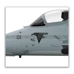 McDONNELL DOUGLAS AF-1B SKYHAWK II, N-1001 en internet