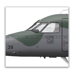 EMBRAER C-95CM BANDEIRANTE, FAB 2339, 2º ETA na internet