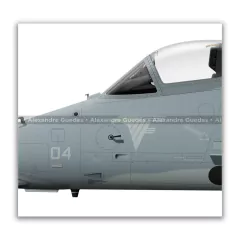 McDONNELL DOUGLAS AF-1B SKYHAWK II, N-1004 en internet