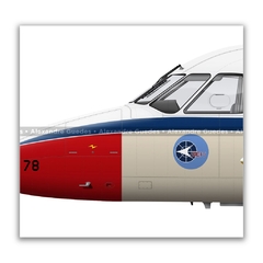 EMBRAER EC-95C BANDEIRANTE, FAB 2178, GEIV en internet