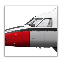 EMBRAER EC-95B BANDEIRANTE, FAB 2307, GEIV na internet