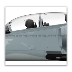 McDONNELL DOUGLAS AF-1C SKYHAWK II, N-1021 en internet