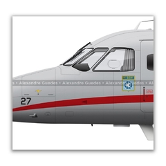 EMBRAER IC-95B BANDEIRANTE, FAB 2327, GEIV en internet