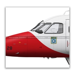 EMBRAER IC-95B BANDEIRANTE, FAB 2328, GEIV en internet