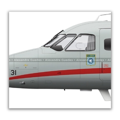 EMBRAER IC-95C BANDEIRANTE, FAB 2331, GEIV en internet