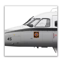 EMBRAER SC-95B BANDEIRANTE, FAB 6545, 2º/10º GAV en internet