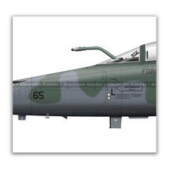 NORTHROP F-5EM TIGER II, FAB 4865, 1º GAVCA en internet