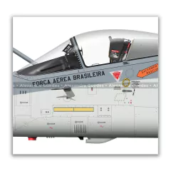 AMX INTERNACIONAL A-1, FAB 5533, 3º/10º GAV en internet