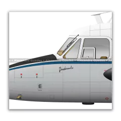 EMBRAER YC-95 BANDEIRANTE, FAB 2130, CTA on internet