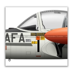 CESSNA T-37C, FAB 0884 en internet