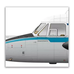 EMBRAER YC-95 BANDEIRANTE, FAB 2131, CTA en internet