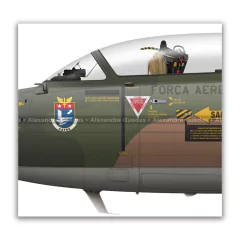 AERMACCHI/EMBRAEAT-26 XAVANTE, FAB 4496, 2º/5º GAv en internet