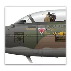 AERMACCHIEMBRAER, AT-26 XAVANTE, FAB 4496, º5º GAV en internet