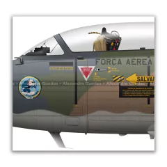 AERMACCHI&#x2F;EMBRAER, AT-26 XAVANTE, FAB 453, 1º GDA en internet
