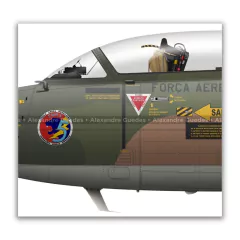 AERMACCHI/EMBRAER, AT-26 XAVANTE, FAB 4554, 5º en internet