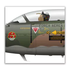 AERMACCHI/EMBRAER, AT-26 XAVANTE, FAB 4620, en internet