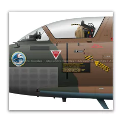 ATLAS IMPALA MKAT-26 XAVANTE, FAB 4620, 2º/5º GAV on internet