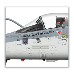 AMX INTERNACIONAL A-1, FAB 5535, 3º/10º GAV en internet