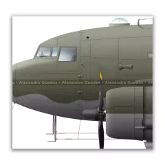 DOUGLAS C-47A SKYTRAIN, FAB 2013 en internet