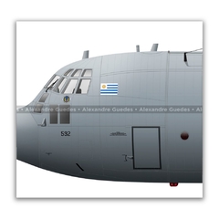 LOCKHEED HERCULES C-130B, FAU 592 en internet