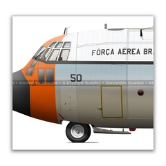 LOCKHEED HERCULES C-130E, FAB 2450 en internet