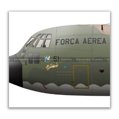 LOCKHEED HERCULES C-130E, FAB 2451 en internet