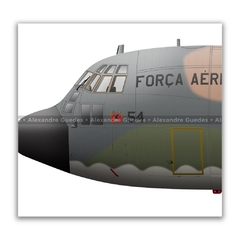 LOCKHEED HERCULES C-130E, FAB 2454 en internet