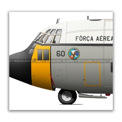 LOCKHEED HERCULES C-130E, FAB 2460 en internet