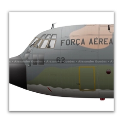 LOCKHEED HERCULES C-130H, FAB 2463 en internet