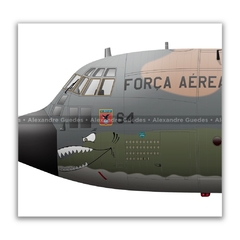 LOCKHEED HERCULES C-130H, FAB 2464_2 en internet