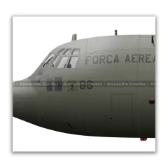 LOCKHEED HERCULES C-130H, FAB 2466 en internet