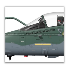 AMX INTERNACIONAL A-1A, FAB 5528, 1º/16º GAV en internet