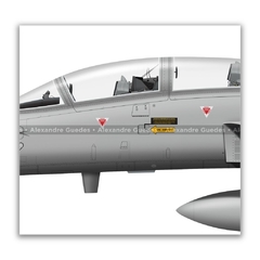 NORTHROP F-5F TIGER II, FAB 4806, 1º/14º GAV en internet