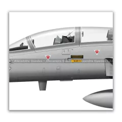NORTHROP F-5F TIGER II, FAB 4806, 1º/14º GAV on internet