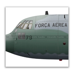 LOCKHEED HERCULES C-130M, FAB 2479 en internet
