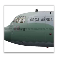 LOCKHEED HERCULES C-130M, FAB 2479 en internet