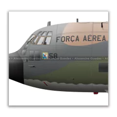 LOCKHEED HERCULES SC-130E, FAB 2458 en internet